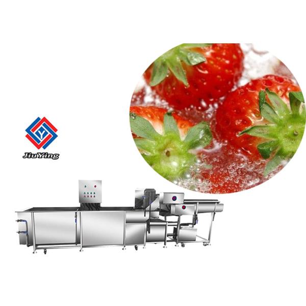Buy Auto Vegetable Fruit Washing Machine Salad Spinach Strawberry Cleaning at wholesale prices