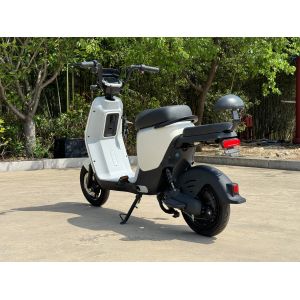L1-D 350W Electric Two-Wheeler
