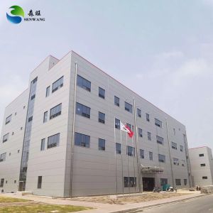Galvanized Prefabricated Steel Structure with Q355 Q235B Steel Grade