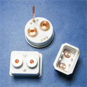 Custom Electronic Ceramic Components Metallized Alumina Oxide Ceramics