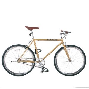 Quality CE Certified 20*2.1 Kenda Tire Single Speed Mini Fixie Bike for Child Adventure for sale