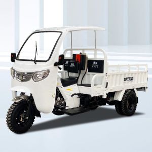 10-20L Fuel Tank Capacity Cargo Tricycle in Ghana with Motorized Driving Type