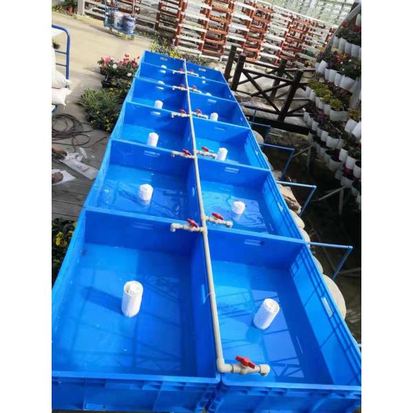 Aquaponics Greenhouse Hydroponics Growing System Fish Tank For Fish And Vegetable