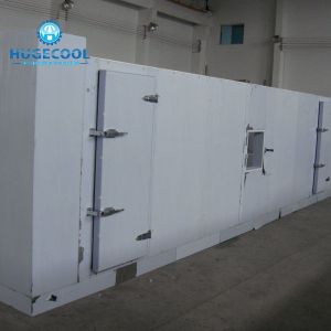 Temperature -10-0C Commercial Cold Storage Container with Refrigeration