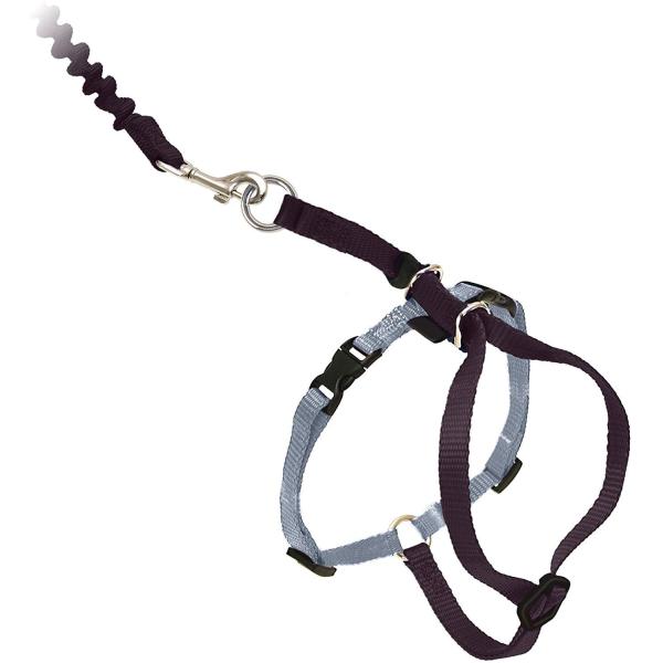 Buy Adjustable Nylon Cat Harness Collar With Bungee Leash at wholesale prices