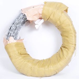 Low Price Concertina Hot Dipped Galvanized Razor Barbed Wire