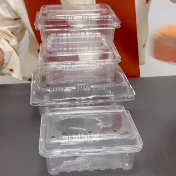 Customizable Disposable bowl with different material options suitable for