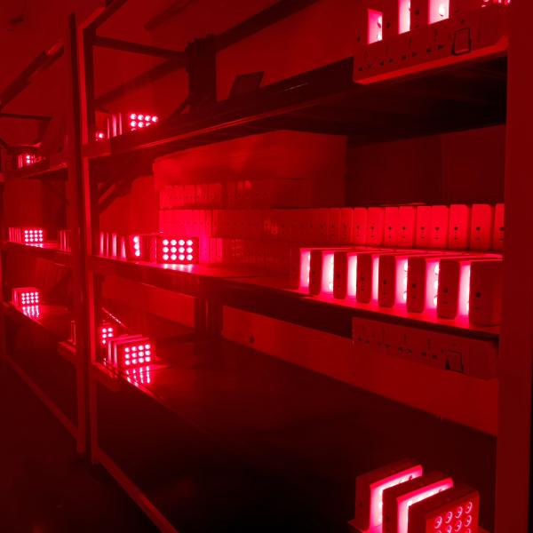 60W LED Light Therapy Mask 660nm 850nm Red Light Therapy Panel