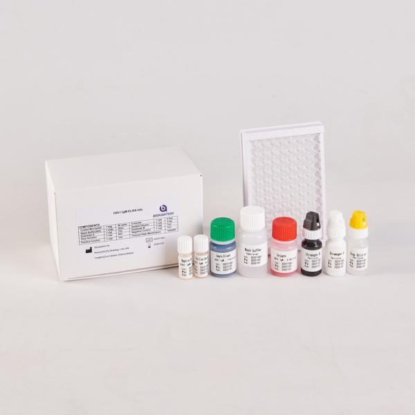 Buy RUO HSV1 IgM Elisa kit at wholesale prices