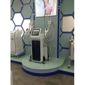 Professional factory directly sale -15 – 5 Celsius 2500w 4 heads fat freeze