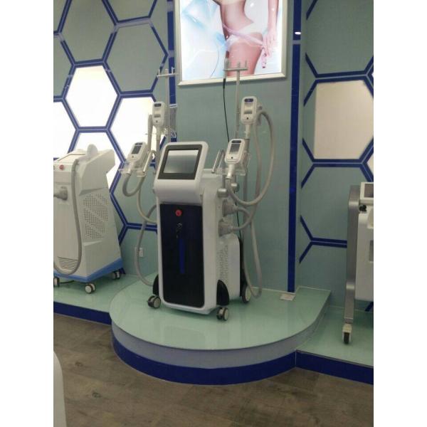 Professional factory directly sale -15 – 5 Celsius 2500w 4 heads fat freeze