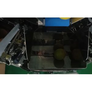 14 Head Multihead MCU/PLC Weigher Packing Machine For Weiging Fruits Oranges