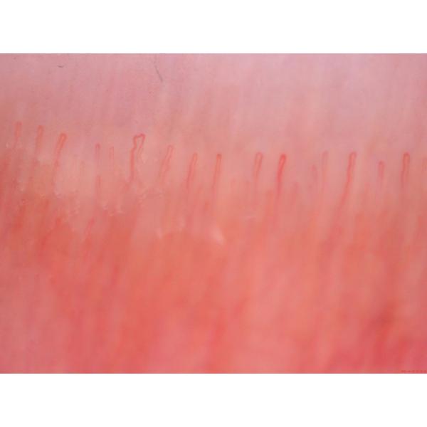 10x To 200x USB Electron Microscope Connected To Laptop 2MP UV 400nm