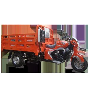 250cc Cargo Tricycle Motorcycle with 2000kg Loading Capacity