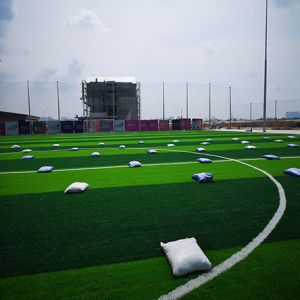 Flyon Artificial Grass For Fitness Equipment Futsal astro turf