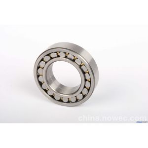 NN3006KW33P5 Cylindrical Roller Bearing  Machine Tool Spindl Bearings