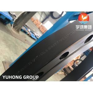 Carbon Steel A105 Customized Flange Raised Face PT Available