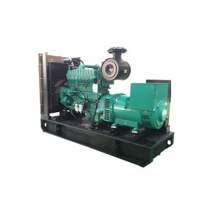 250KW 313KVA Cummins Diesel Generators with NTA855G1B Engine