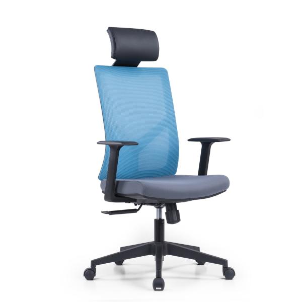 Executive Ergonomic Office Chair with Traditional Design Style and BIFMA Certificate