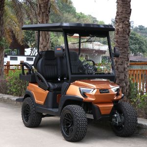 Strong and Elegant 2 Front Seats & 2 Rear Electric Golf Carts Carried 5KW Motor