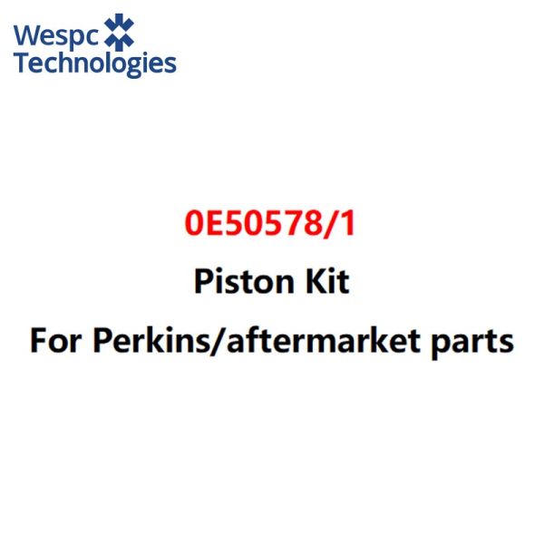 WESPC 0E50578 1 piston kit for Perkins 1106 series diesel engines