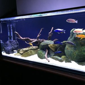 Aquarium Project Construction Large Fish tank Custom Manufacturers Aquarium