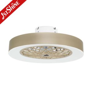 Hidden Removable Blades LED Ceiling Fan with Metal Material and Remote Control