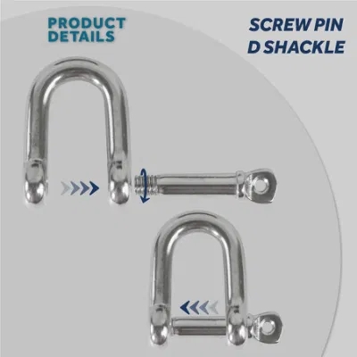 European Type Stainless Steel 304/316 Screw Pin D Shackle for Heavy Duty Applications