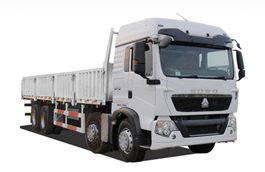HOWO-T5G ZZ1317N466GD1 8X4 Cargo Truck