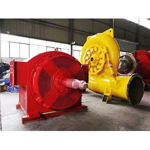 20m-300m Efficiency Vertical Hydro Francis Steam Turbine Generator SS for Power