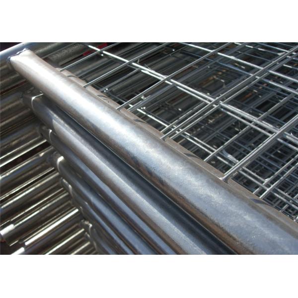 Gold coast Temporary Fencing panels for sale 2100mm x 2400mm OD 32 x 1.40mm good