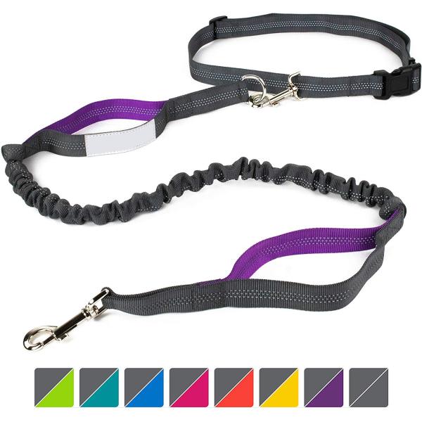 Buy 4 Feet Long Bungee Dog Lead With Reflective Stitching at wholesale prices