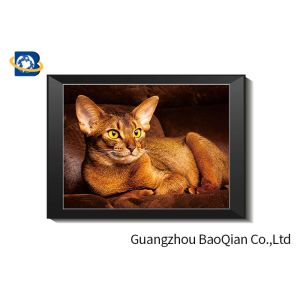 Cute Cat Lenticular Printing Picture With Frame 40 x 40 cm PET 0.65 mm