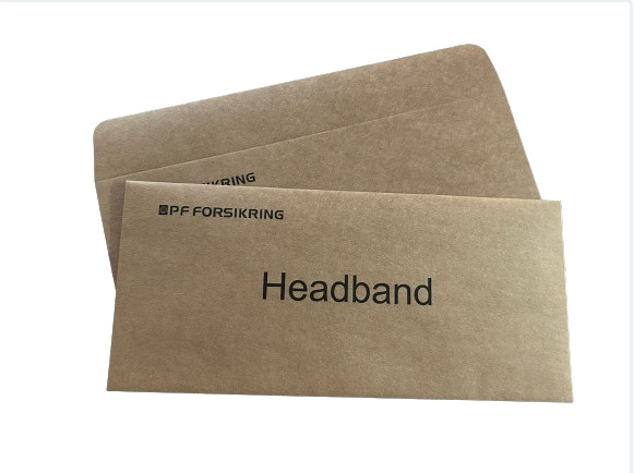 Secure Shipping Introduction Custom Printed Rigid Kraft Paper Envelope With Logo