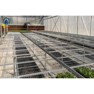 Agricultural Wire Mesh Rolling Grow Tables Greenhouse Hydroponic Rolling Benches