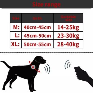 Fashion Foldable Safety Buckle Polyester Pet Collars Leashes Customizable
