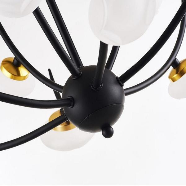 6heads Acrylic Iron Modern Pendant Light Indoor Decoration