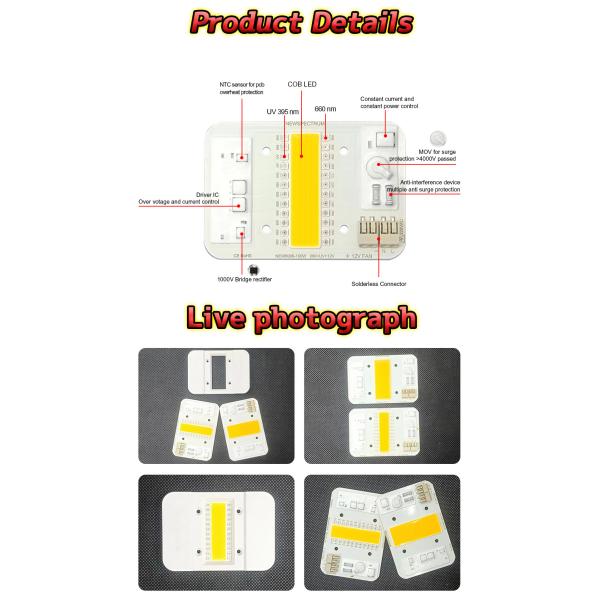 High Lumen High Power Cob LED Lamp Beads High Conductivity Aluminum