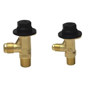 DN6-DN50 Refrigeration Safety Release Valve with Good Sealing Performance