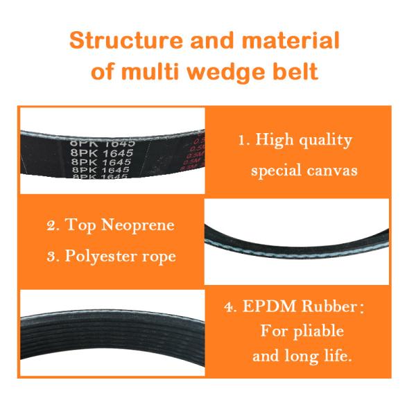 OEM 3015259 Multi Wedge Belt For MITSUBISHI 8PK1645
