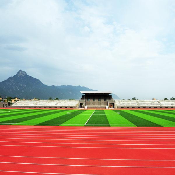 Abrasion Resistance Synthetic PU Jogging Track Flooring Material