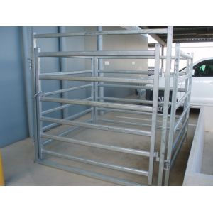 Australia standard galvanized cattle panel fence Cattle Crush,Cattle Chute