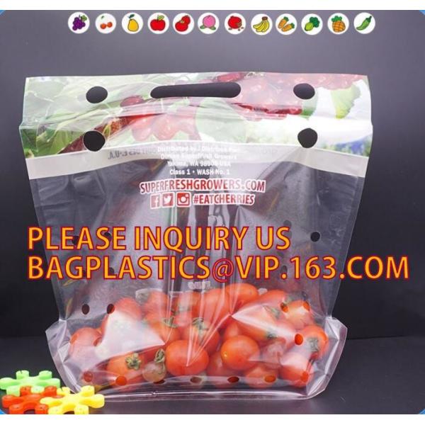 cherry tomato bags / laminated dry fruit packaging bag, Fruit Vegetable
