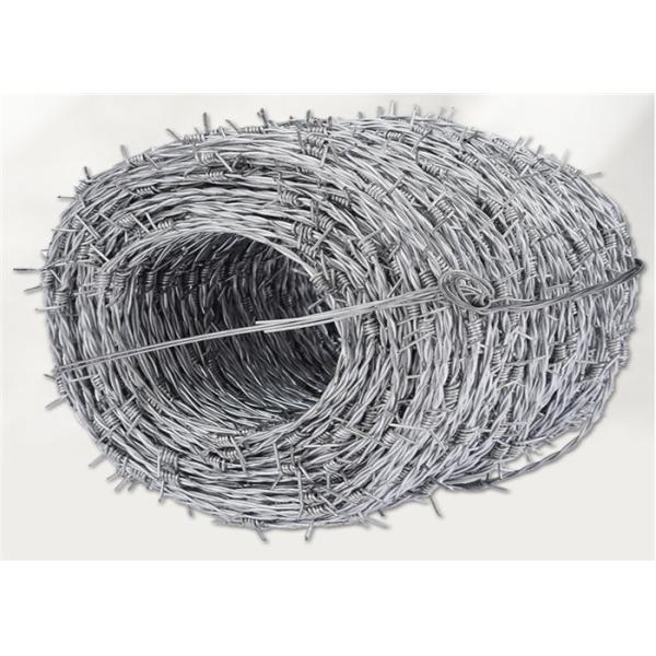 Buy 14 Gauge Hot Dipped Galvanized Barbed Wire For Building Farm Fence at wholesale prices