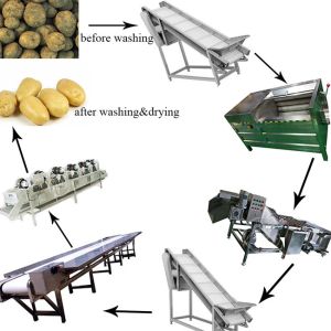 Full Automatic Potato Chips Making Machine Frozen French Fries Machinery