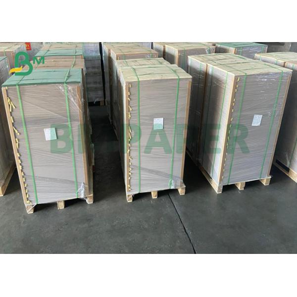  Absorbent Paper Sheets