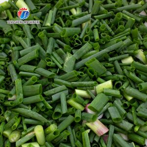 Vegetable cutter conveyor belt can be removed Potatoes and round tuber crops