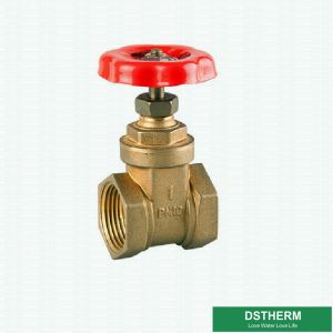 200 WOG 11/4 Inch Blue Cast Iron Handle Customized BSPT Heavier Style Brass Gate