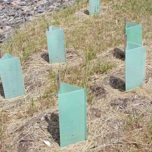 6mm Corrugated Plastic Tree Guard Herbicides Protection