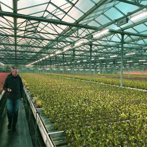 Quality Integrated PV Module Mounting Systems For Greenhouse for sale